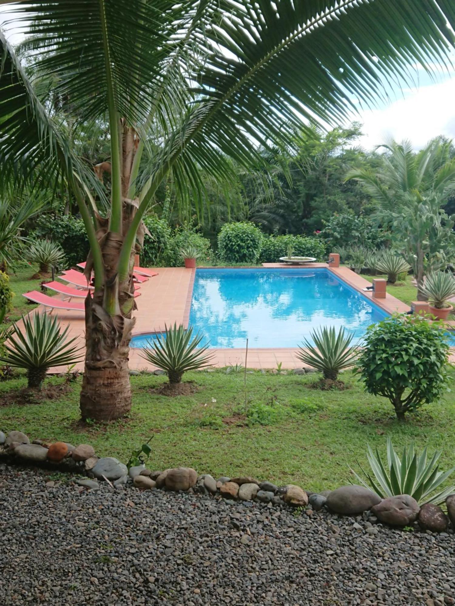 Residence Las Lajas Las Lajas  Quarto foto